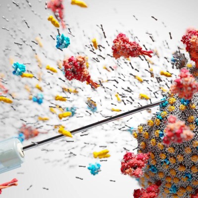 Što učiniti ako ste pozitivni na koronavirus ili ste bliski kontakt?